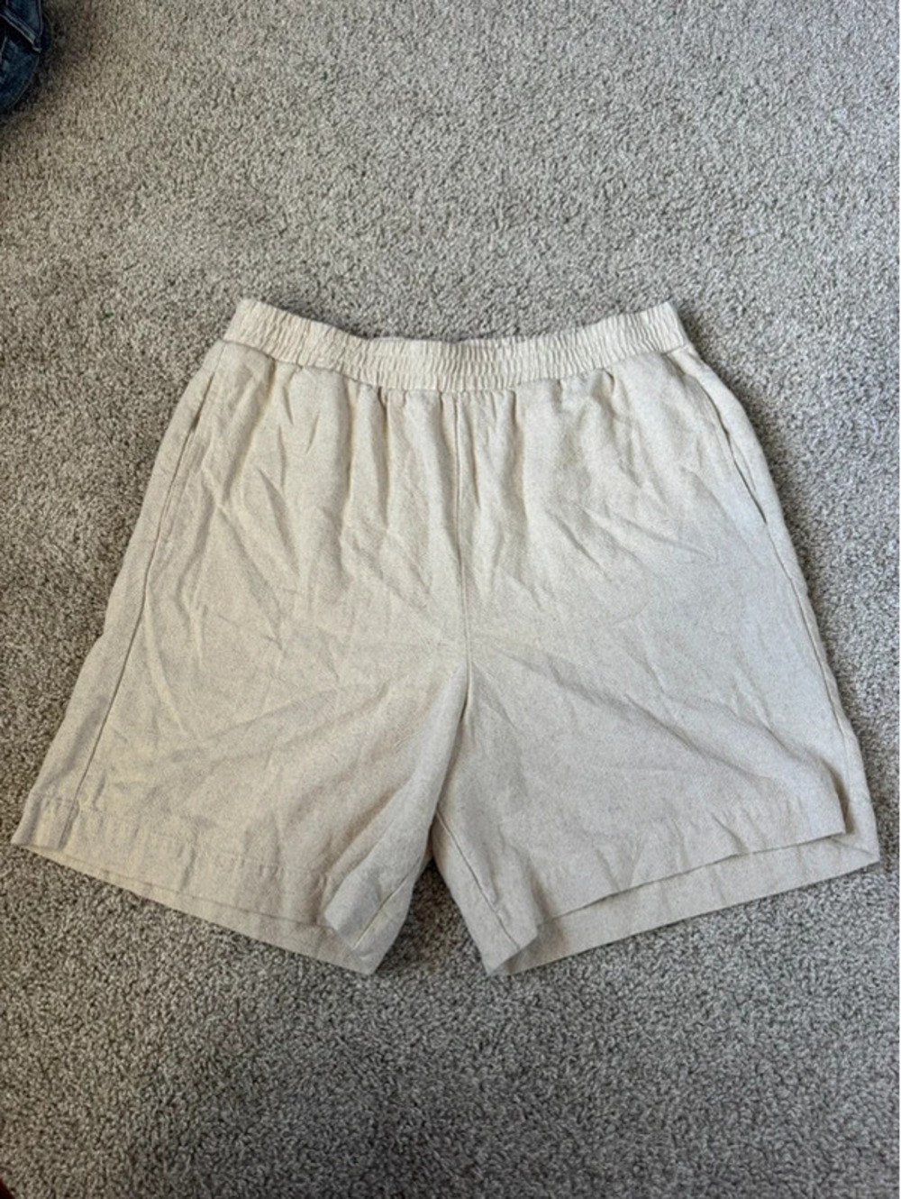 Hiatus Shorts
